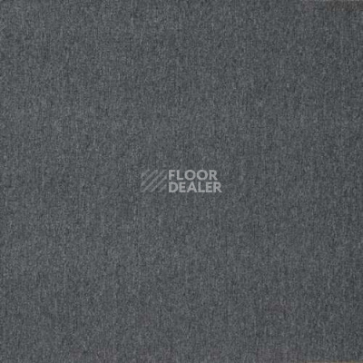 Ковролин Роял Тафт Office 02-001-1000000 фото 1 | FLOORDEALER